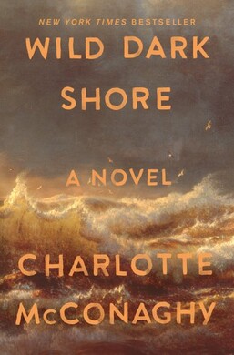 book cover of Wild Dark Shore