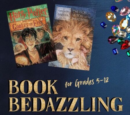 bedazzled book covers for youth