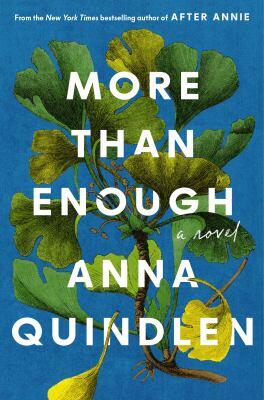 More than enough book cover